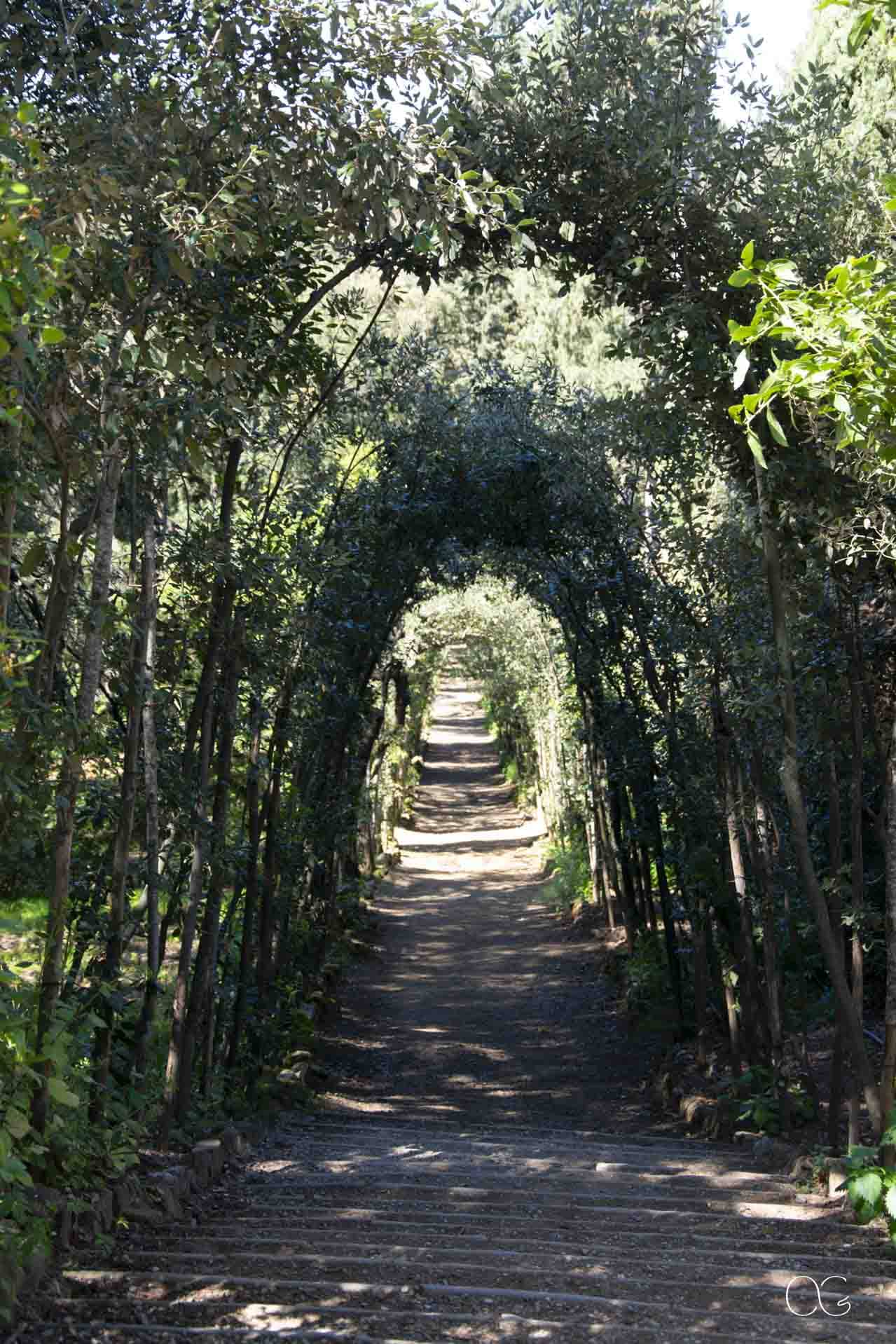 Passage mystérieux